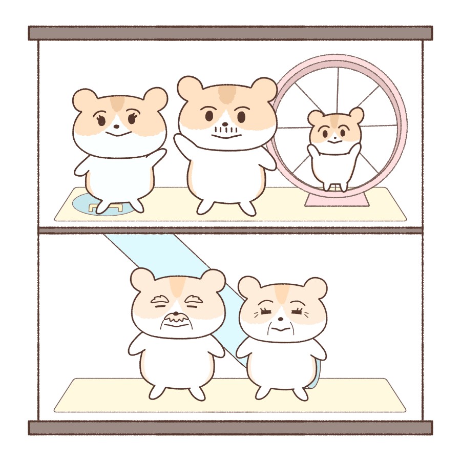 二世帯住宅